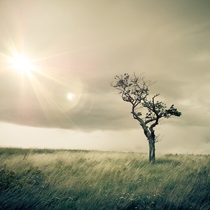 How can bereavement affect a child? 
